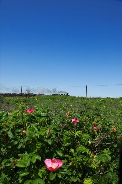 f0054366_19422438.jpg