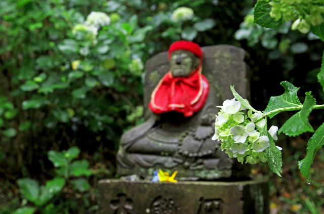 b0131167_11367.jpg