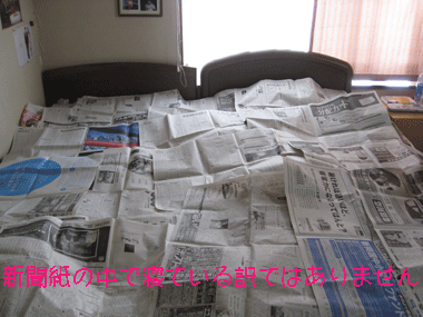 d0050871_18352588.gif