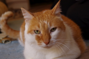 f0054677_8103044.jpg