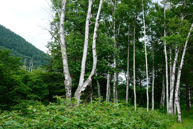 f0108478_1612332.jpg
