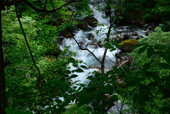 f0108478_16133914.jpg