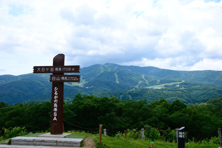 f0108478_1671364.jpg