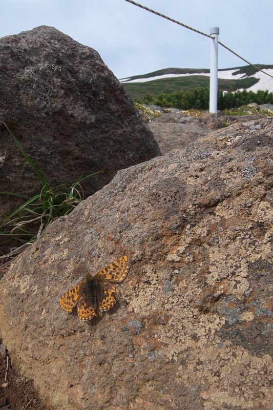 f0090680_20394321.jpg
