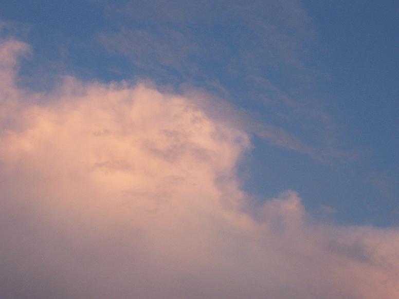c0198781_19432216.jpg