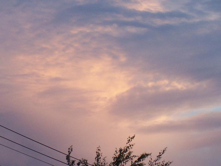c0198781_1943811.jpg