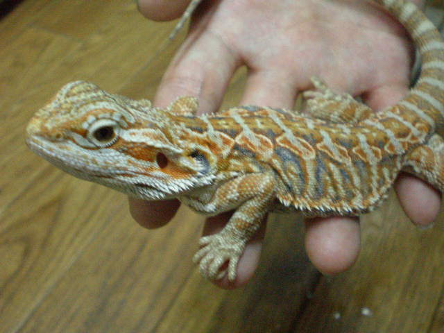 e0211781_233875.jpg