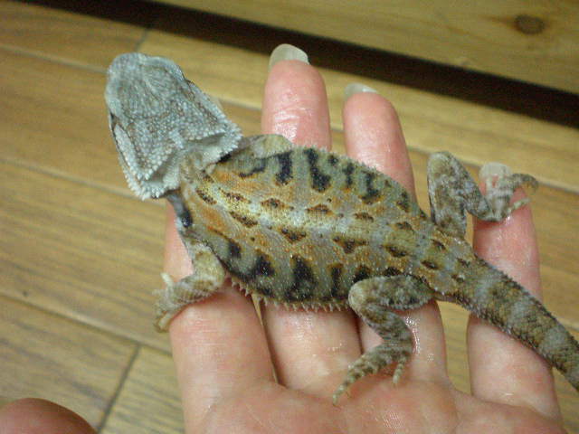 e0211781_2342228.jpg