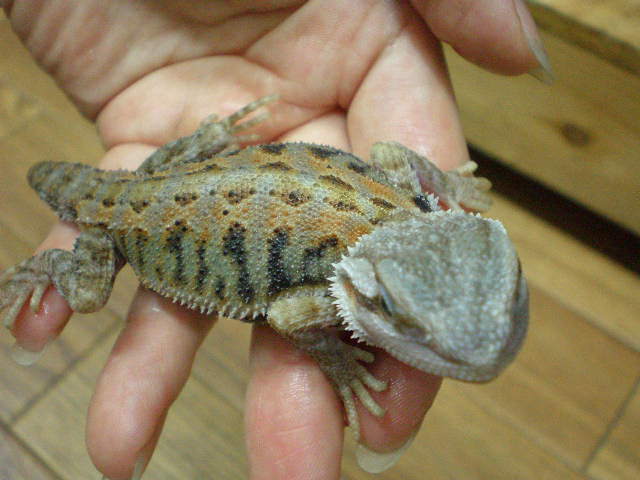 e0211781_2344186.jpg