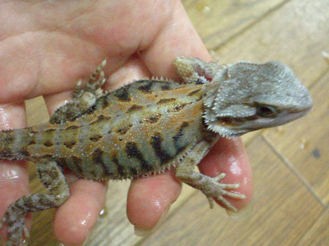 e0211781_234665.jpg
