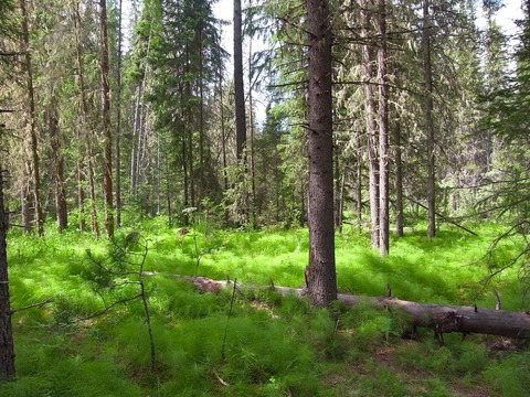 d0170682_23212623.jpg
