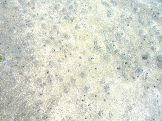 c0125283_892277.jpg