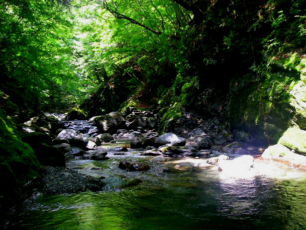 c0136486_15553298.jpg