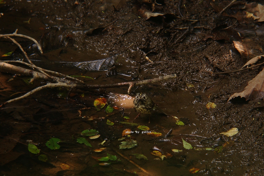 c0213690_2165914.jpg