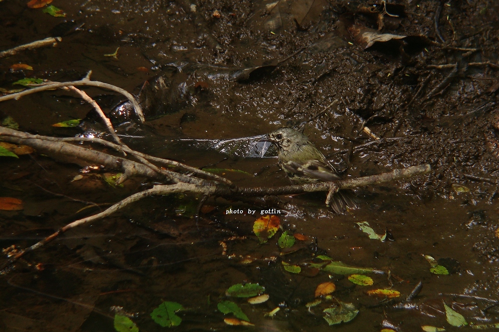 c0213690_2172162.jpg