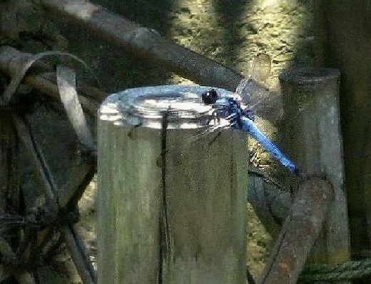 e0143690_22244629.jpg