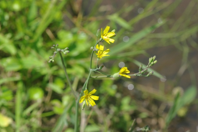 e0070891_2119185.jpg