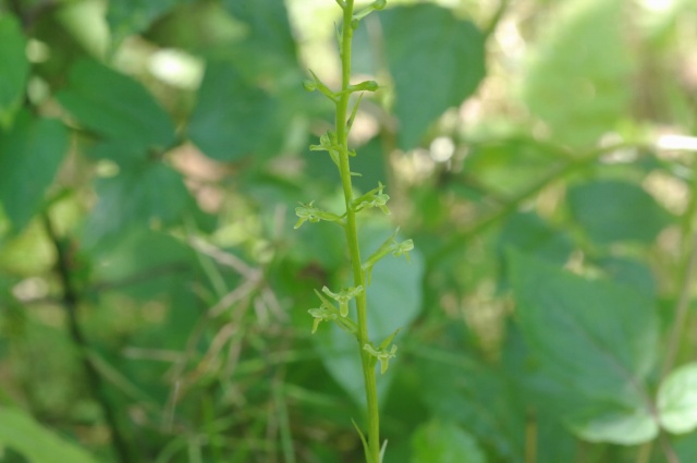 e0070891_2126498.jpg