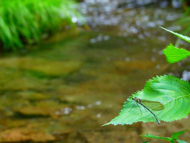 e0202393_21123232.jpg