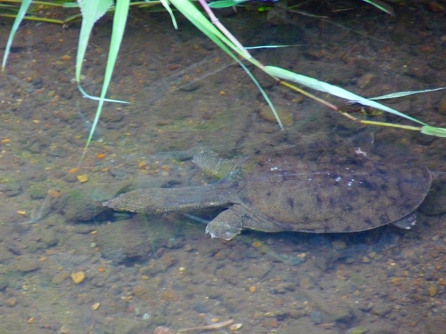 e0202393_21284054.jpg