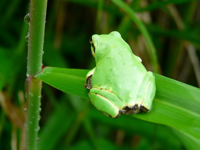 e0202393_2129056.jpg