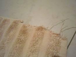 e0227996_0123195.jpg