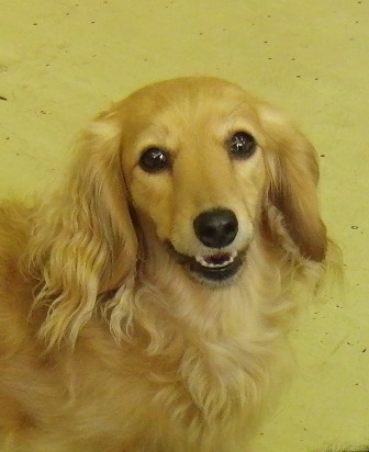 f0077697_17535022.jpg