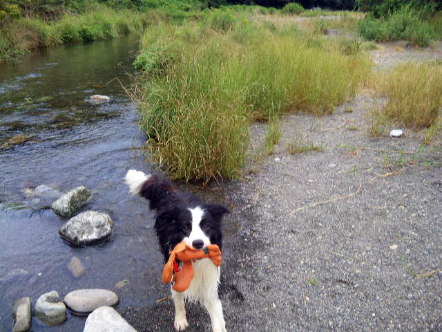f0034602_2011421.jpg