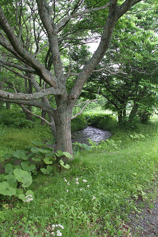d0166303_22453641.jpg