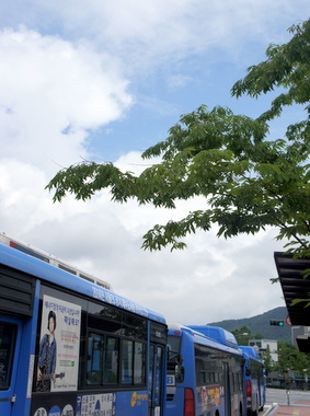 c0148705_923959.jpg