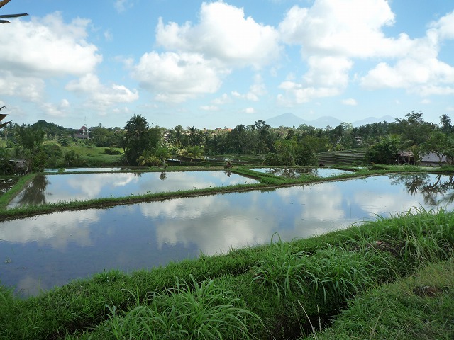 d0224712_1011142.jpg