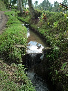 d0224712_1011480.jpg