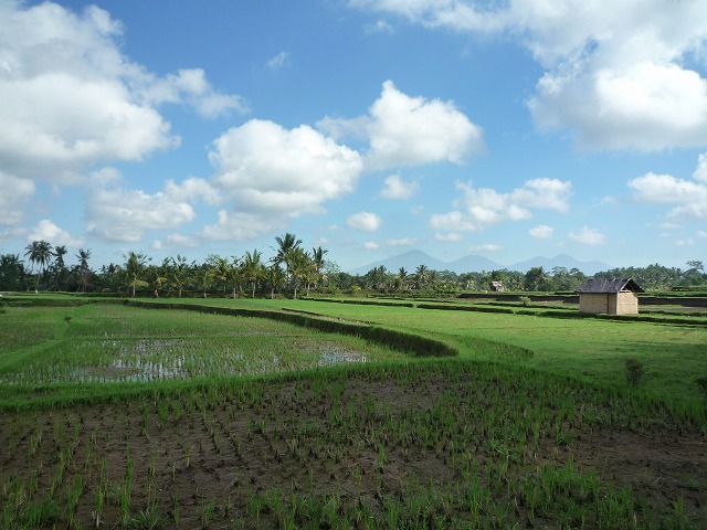 d0224712_1013978.jpg