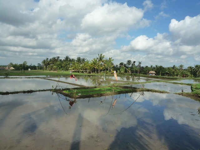 d0224712_1054331.jpg