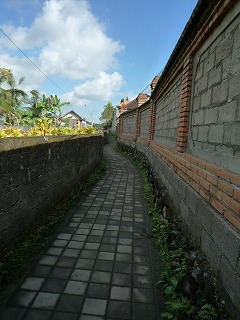 d0224712_9472980.jpg