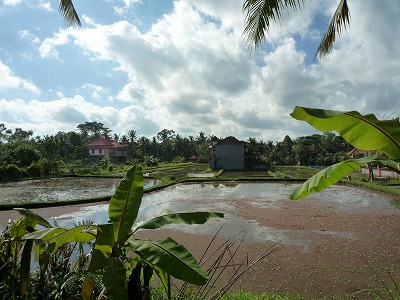 d0224712_9505984.jpg