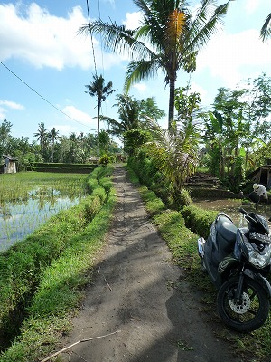 d0224712_9512944.jpg