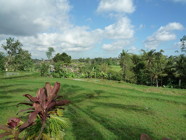 d0224712_9521270.jpg