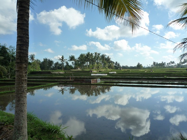 d0224712_9565762.jpg