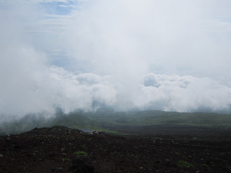 d0156625_7321656.jpg