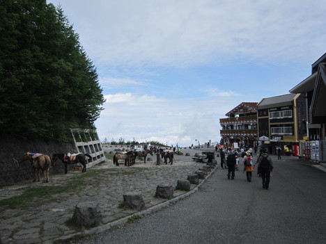 d0156625_9371390.jpg