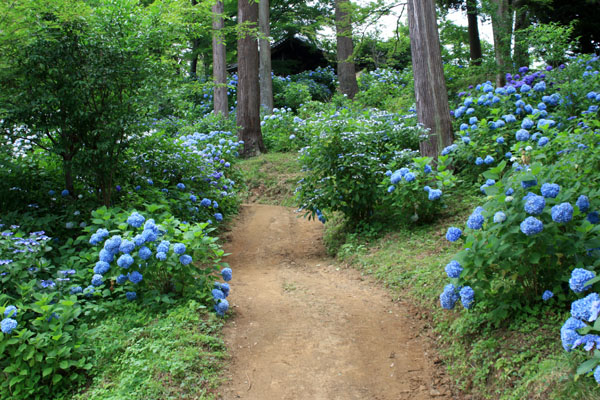 f0147025_2035016.jpg
