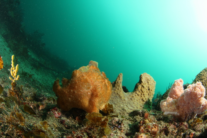 c0034029_2344158.jpg
