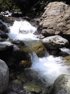 f0118332_17513954.jpg