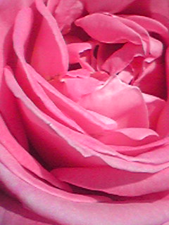 a0155838_21531684.jpg