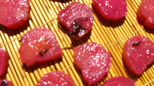 d0176838_2242271.jpg