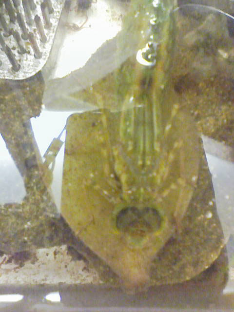 e0089438_1036254.jpg