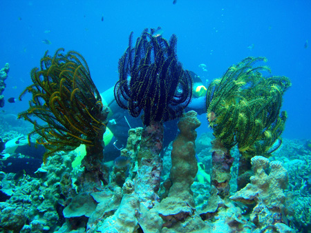 f0014842_18185392.jpg