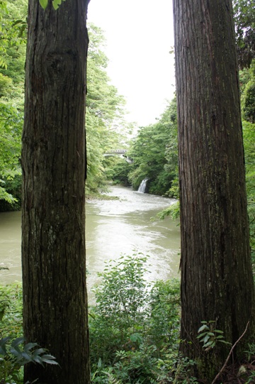 e0040345_9101774.jpg