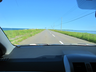 d0031853_5461124.jpg